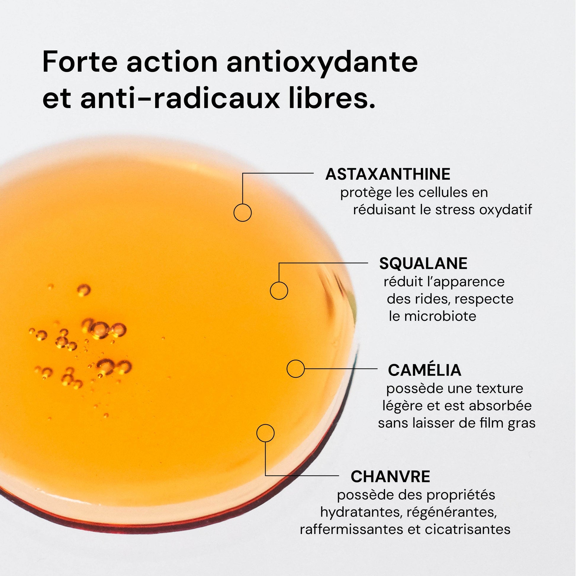 Sérum huile éclat B2B - Labote