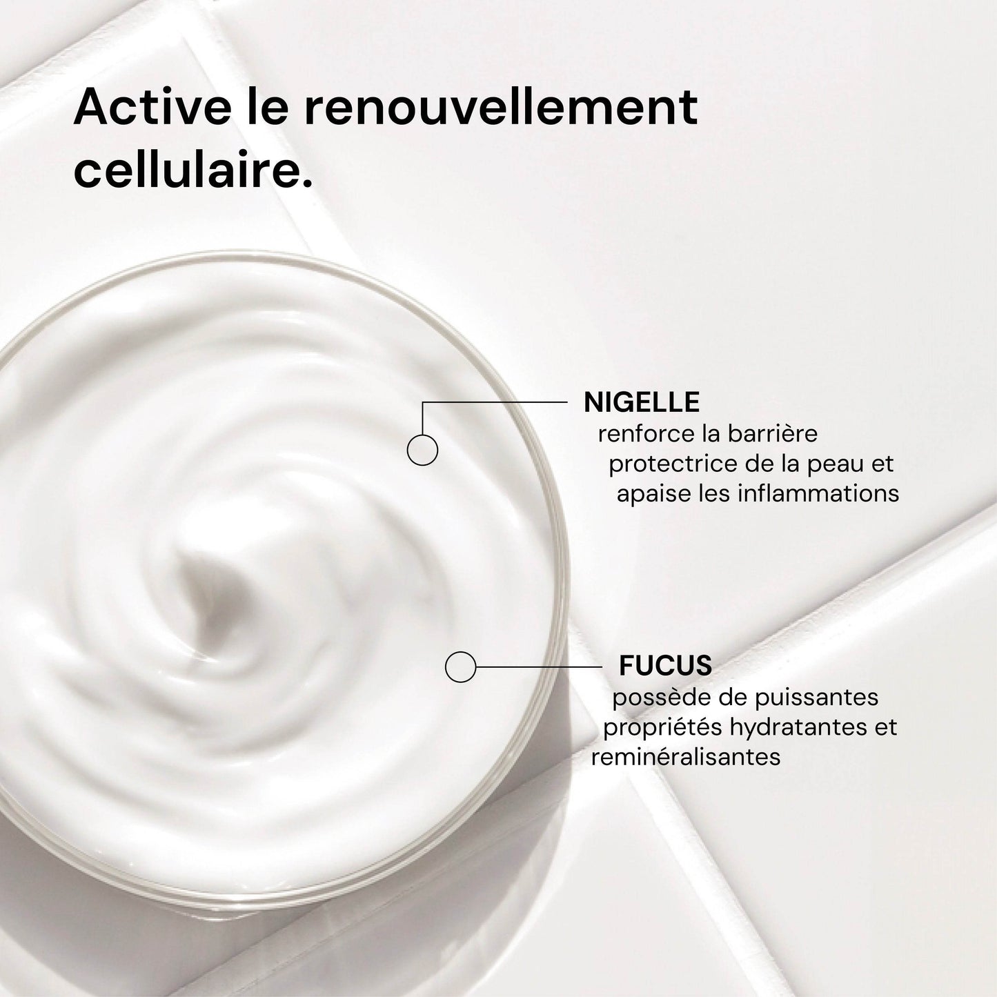 Crème de nuit régénérante B2B - Labote