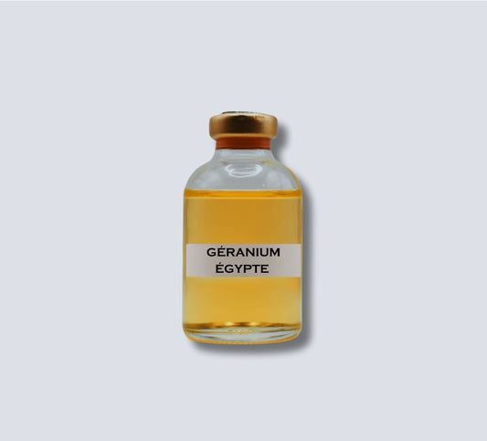 Géranium Egypte