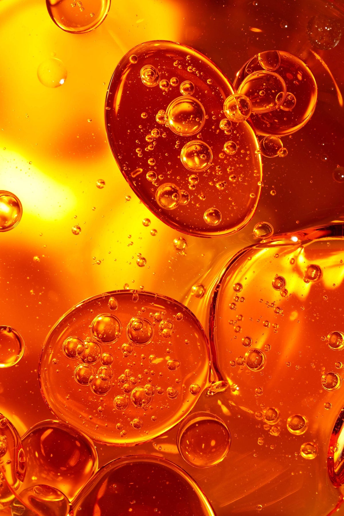 B2B Radiance Oil Serum - Labote