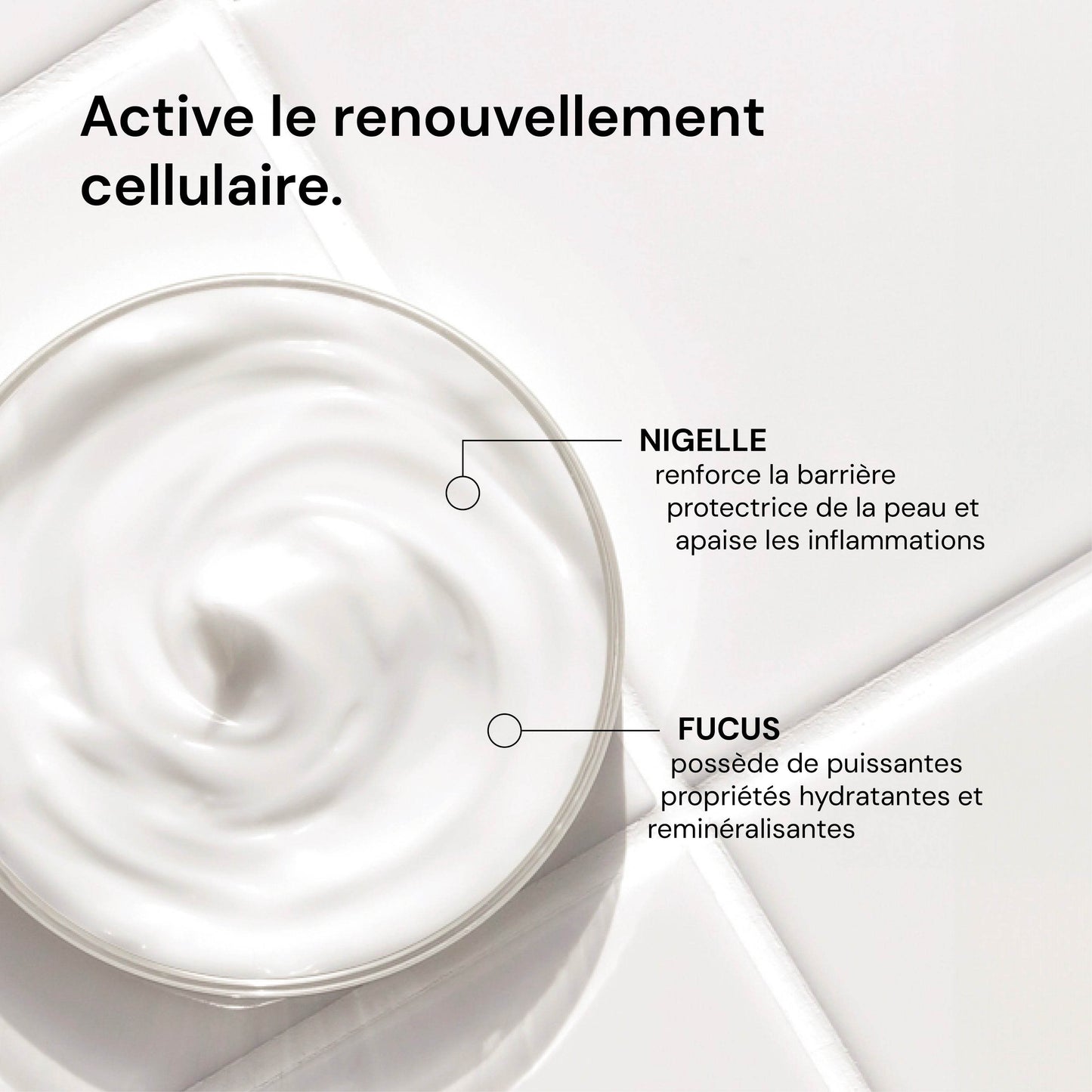 Crème de nuit régénérante - Labote