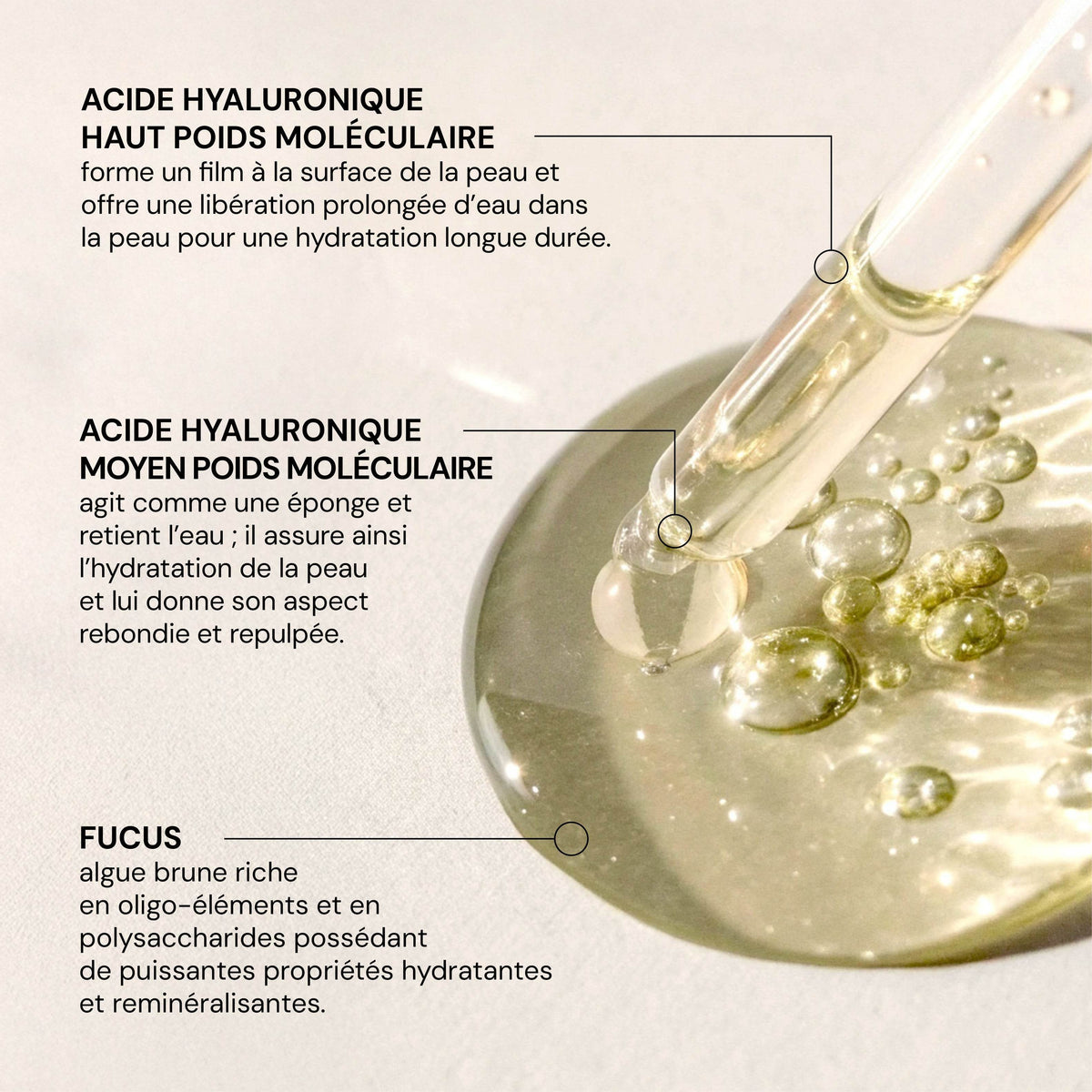 Sérum concentré hydratant B2B - Labote